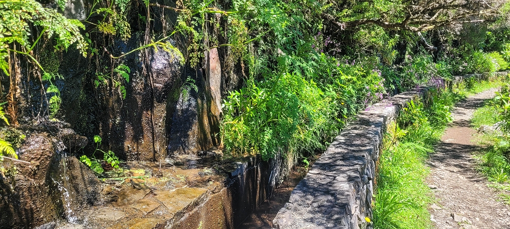 23 June 2024 Colour above the fog — Back to the waterfalls — photo 8