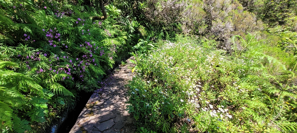 23 June 2024 Colour above the fog — Back to the waterfalls — photo 10
