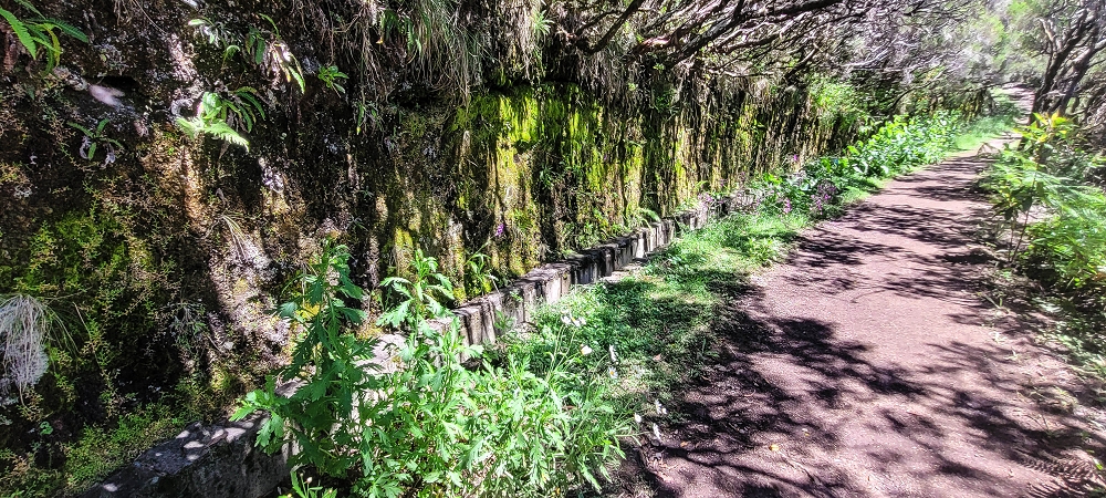 23 June 2024 Colour above the fog — Back to the waterfalls — photo 11