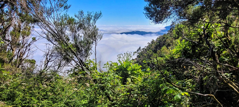 23 June 2024 Colour above the fog — The descent — photo 4