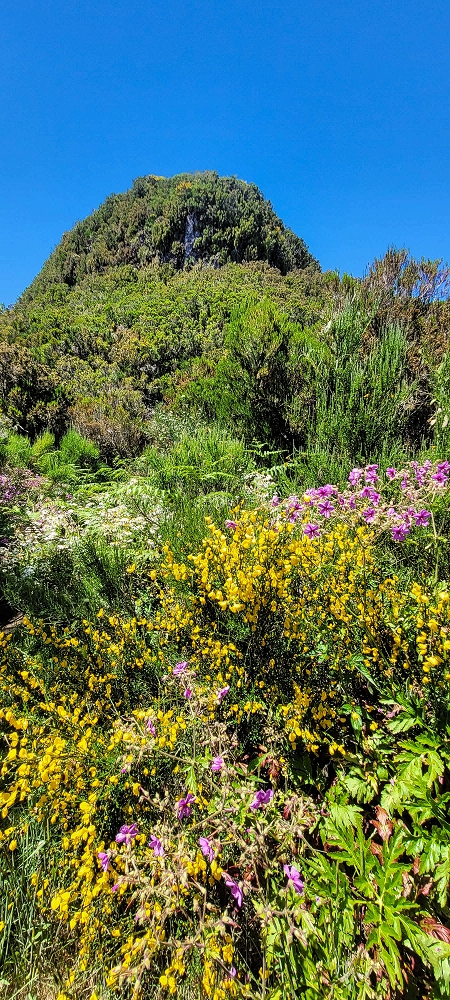 23 June 2024 Colour above the fog — Back to the waterfalls — photo 13