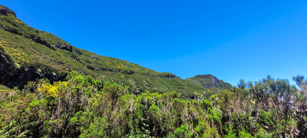 23 June 2024 Colour above the fog — Back to the waterfalls — photo 14