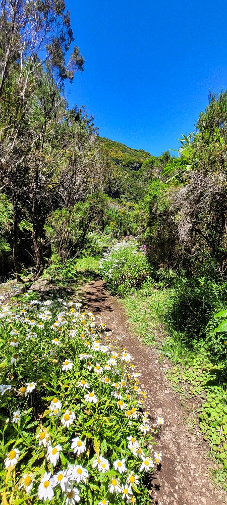 23 June 2024 Colour above the fog — Back to the waterfalls — photo 15
