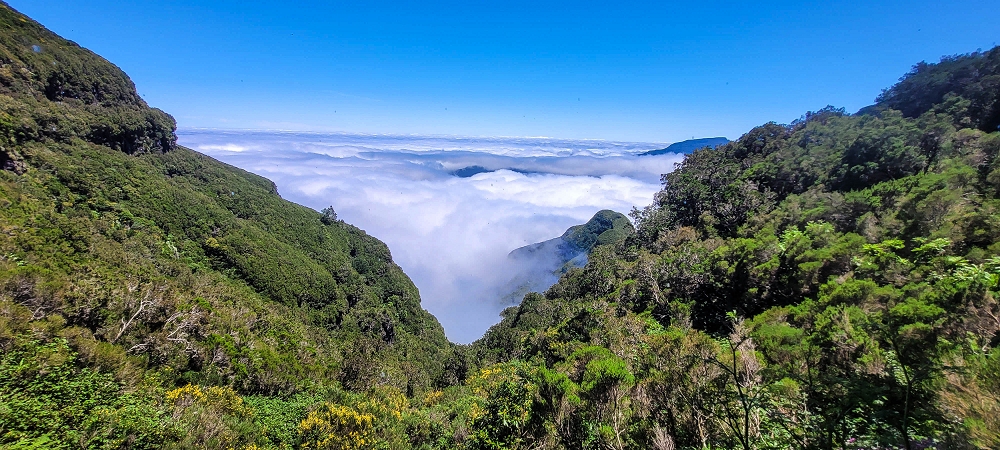 23 June 2024 Colour above the fog — Waterfalls, with a chance to cool off if you like that — photo 1