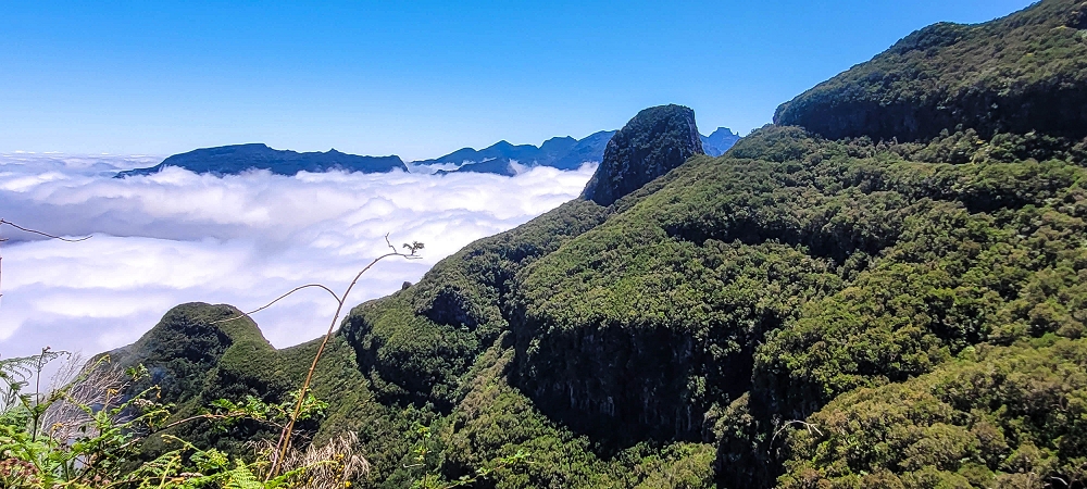 23 June 2024 Colour above the fog — Back to Bica da Cana — photo 1