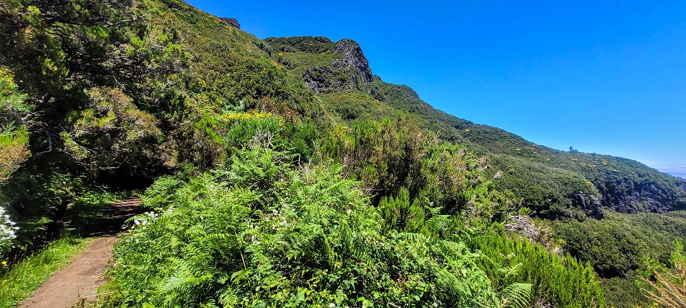 23 June 2024 Colour above the fog — Back to Bica da Cana — photo 2