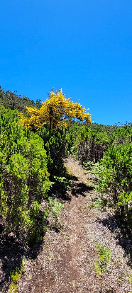 23 June 2024 Colour above the fog — Our favourite spot: the rock terrace — photo 7