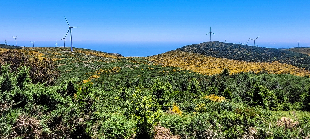 23 June 2024 Colour above the fog — Bica da Cana: on the top — photo 4