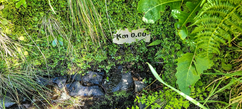 23 June 2024 Colour above the fog — The various inflows to the Levada da Serra — photo 1
