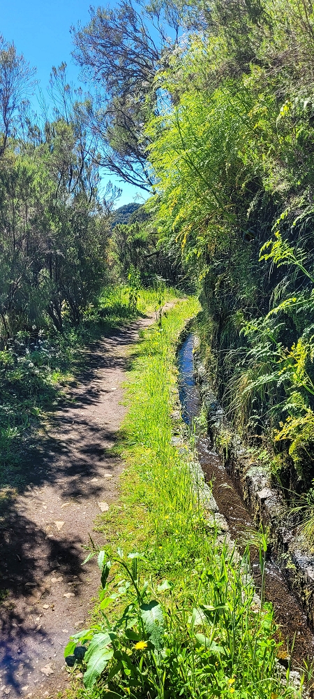 23 June 2024 Colour above the fog — The various inflows to the Levada da Serra — photo 2