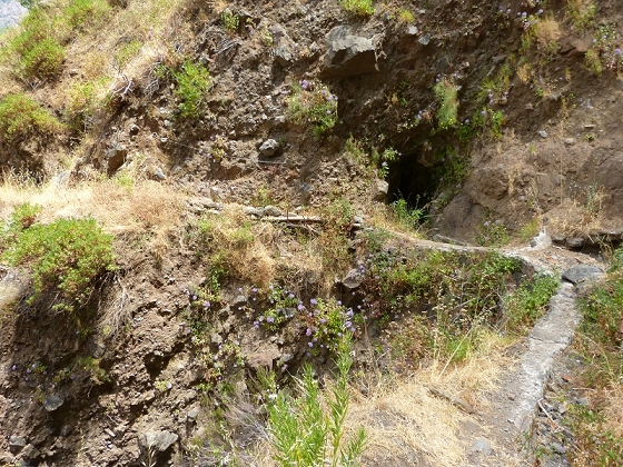 23 July 2013 Levada do Curral e Castelejo — The finale — photo 6