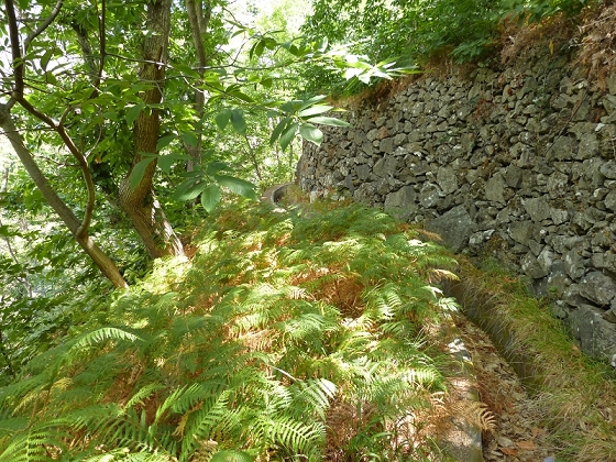 23 July 2013 Levada do Curral e Castelejo — The finale — photo 9
