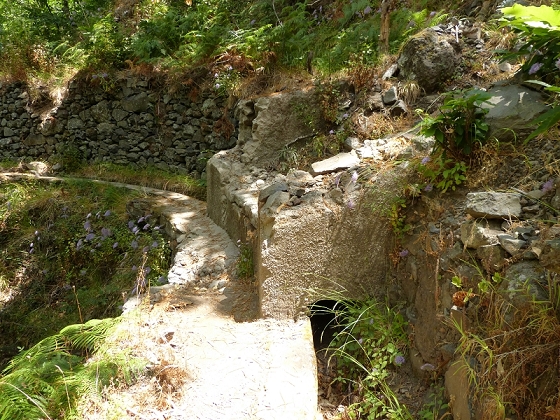 23 July 2013 Levada do Curral e Castelejo — The finale — photo 10