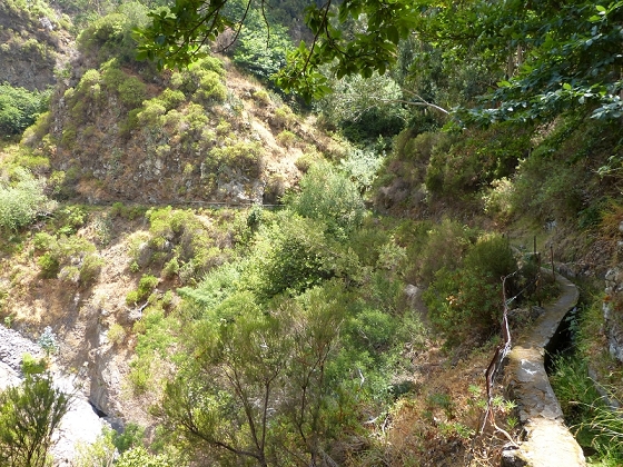 23 July 2013 Levada do Curral e Castelejo — The finale — photo 13