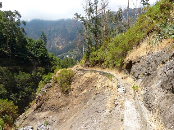 23 July 2013 Levada do Curral e Castelejo — The finale — photo 14