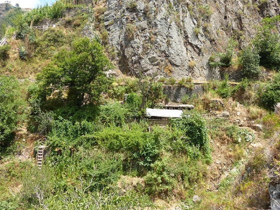 23 July 2013 Levada do Curral e Castelejo — The finale — photo 17