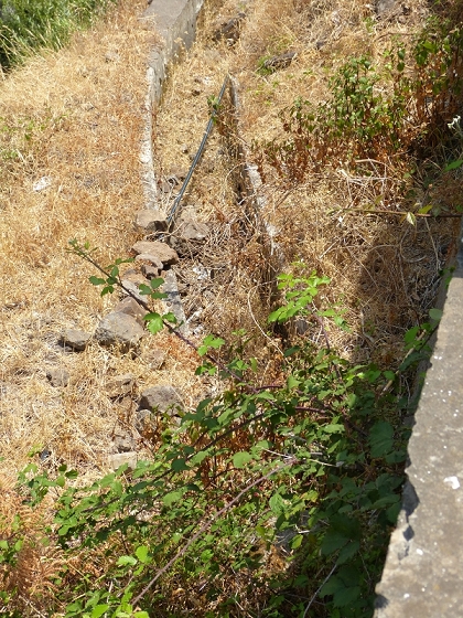 23 July 2013 Levada do Curral e Castelejo — The finale — photo 19