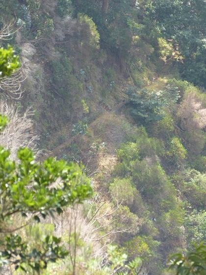 23 July 2013 Levada do Curral e Castelejo — The finale — photo 21