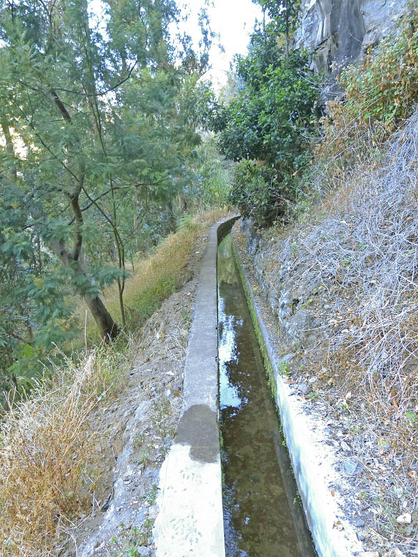 23 July 2013 Levada do Curral e Castelejo — From Lombo dos Tres Paus to Casa Perreira — photo 12