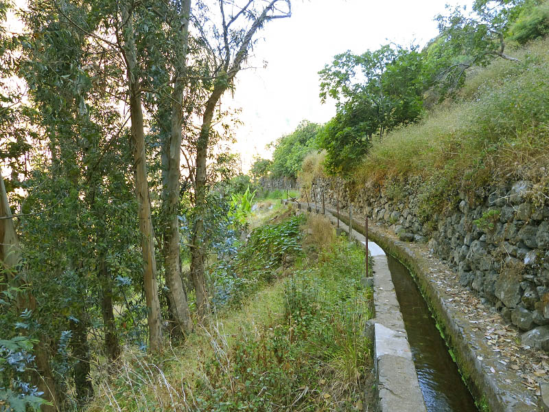 23 July 2013 Levada do Curral e Castelejo — From Lombo dos Tres Paus to Casa Perreira — photo 13