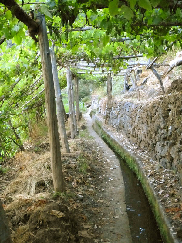 23 July 2013 Levada do Curral e Castelejo — To the tunnel in the Faja basin — photo 1