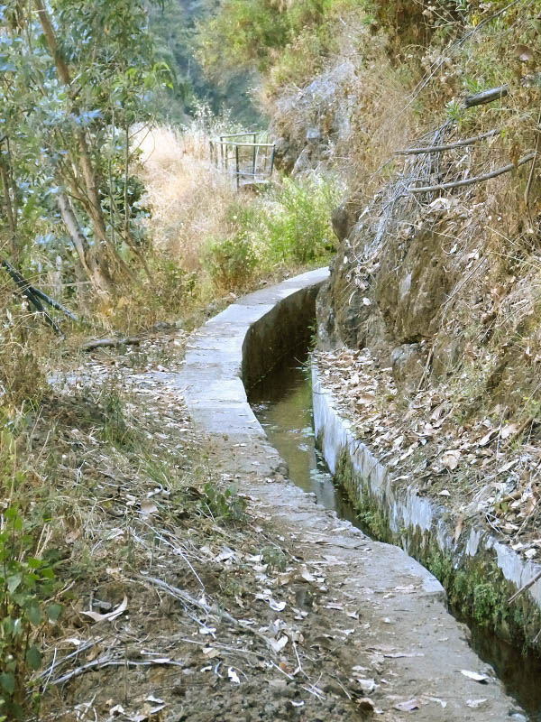 23 July 2013 Levada do Curral e Castelejo — To the tunnel in the Faja basin — photo 4