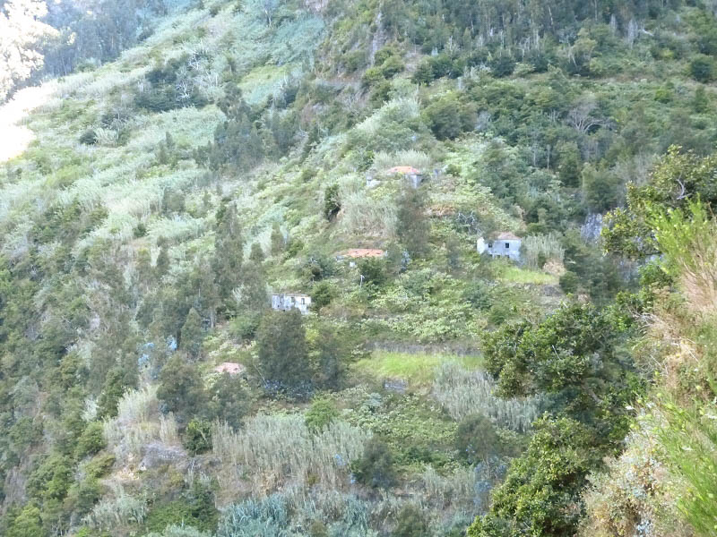 23 July 2013 Levada do Curral e Castelejo — To the tunnel in the Faja basin — photo 6