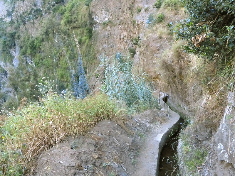 23 July 2013 Levada do Curral e Castelejo — To the tunnel in the Faja basin — photo 8