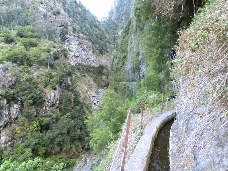 23 July 2013 Levada do Curral e Castelejo — To the tunnel in the Faja basin — photo 10