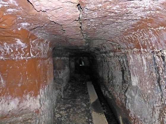 23 July 2013 Levada do Curral e Castelejo — To the tunnel in the Faja basin — photo 14