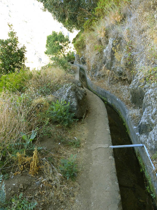 23 July 2013 Levada do Curral e Castelejo — From Lombo dos Tres Paus to Casa Perreira — photo 3