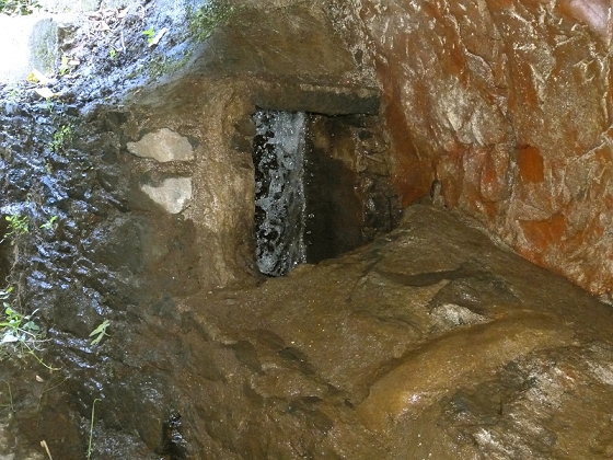 23 July 2013 Levada do Curral e Castelejo — To the tunnel in the Faja basin — photo 16