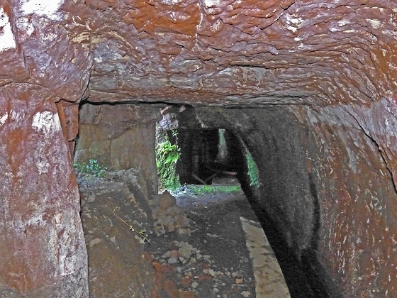 23 July 2013 Levada do Curral e Castelejo — To the tunnel in the Faja basin — photo 17