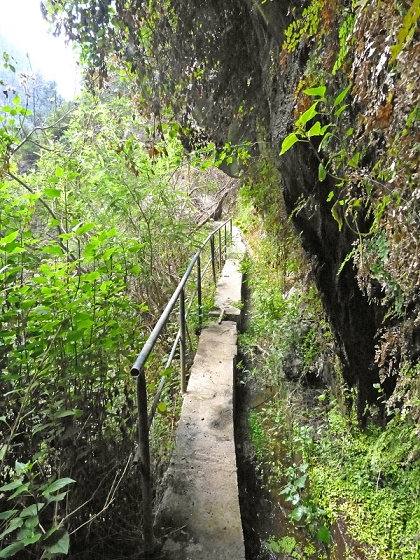 23 July 2013 Levada do Curral e Castelejo — From the Faja basin to the crux — photo 1