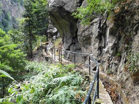 23 July 2013 Levada do Curral e Castelejo — From the Faja basin to the crux — photo 4