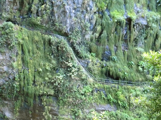 23 July 2013 Levada do Curral e Castelejo — From the Faja basin to the crux — photo 5