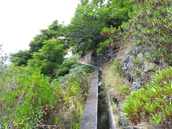 23 July 2013 Levada do Curral e Castelejo — From the Faja basin to the crux — photo 7