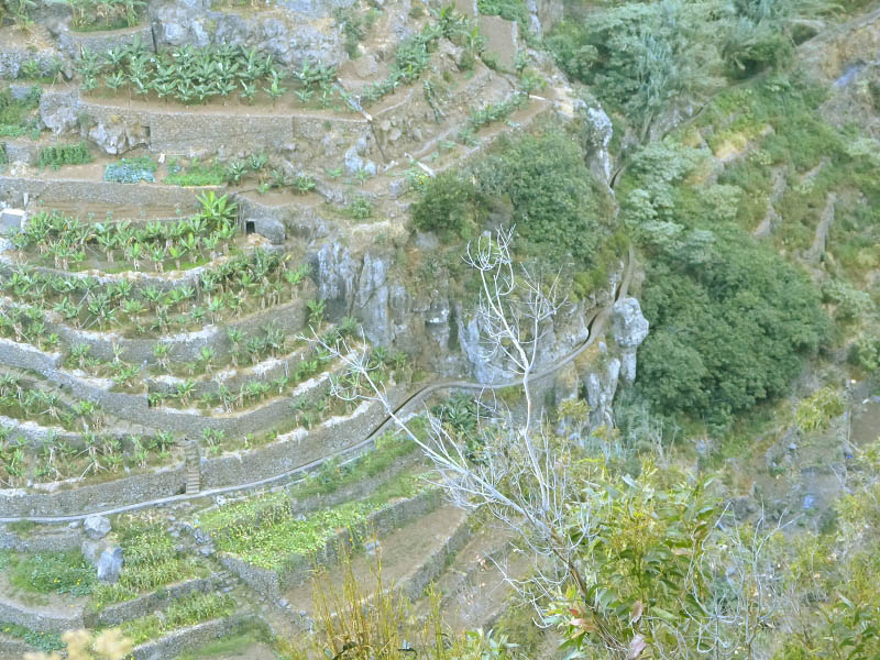 23 July 2013 Levada do Curral e Castelejo — From Lombo dos Tres Paus to Casa Perreira — photo 4
