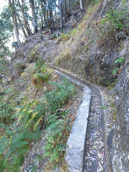 23 July 2013 Levada do Curral e Castelejo — From the Faja basin to the crux — photo 11