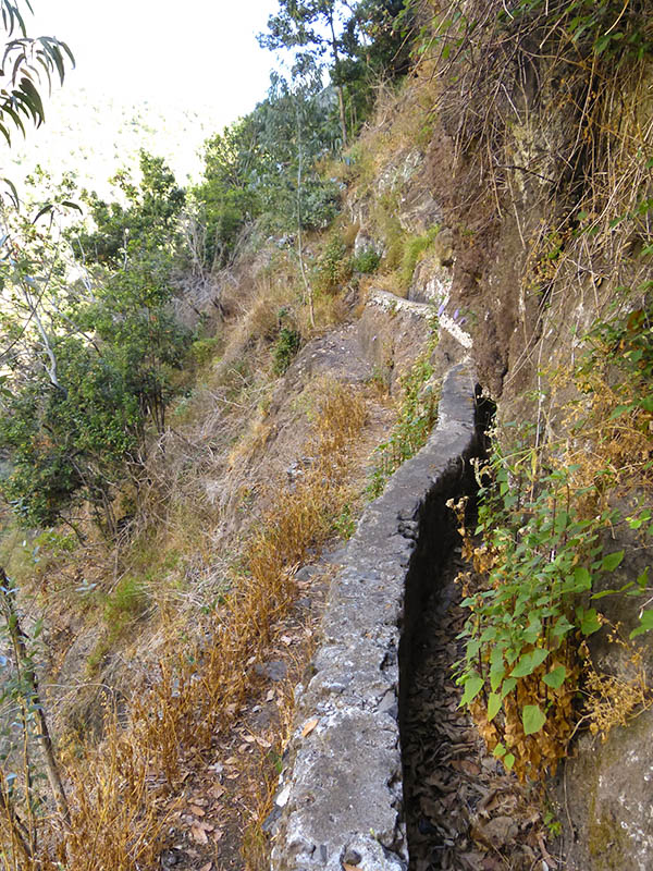 23 July 2013 Levada do Curral e Castelejo — From the Faja basin to the crux — photo 13
