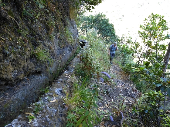 23 July 2013 Levada do Curral e Castelejo — From the Faja basin to the crux — photo 15