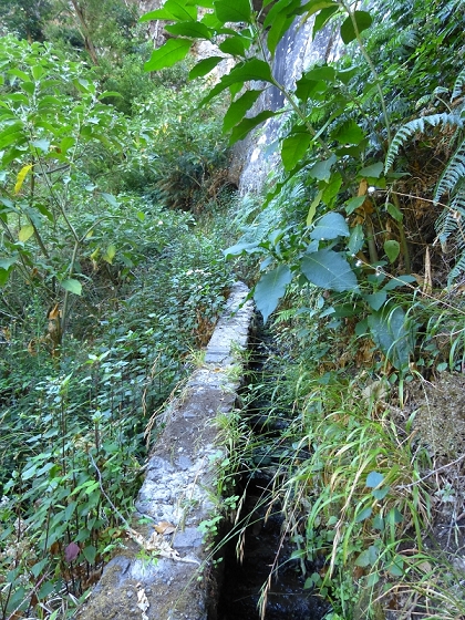 23 July 2013 Levada do Curral e Castelejo — From the Faja basin to the crux — photo 16