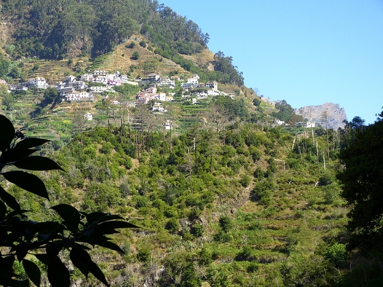 23 July 2013 Levada do Curral e Castelejo — From the Faja basin to the crux — photo 17