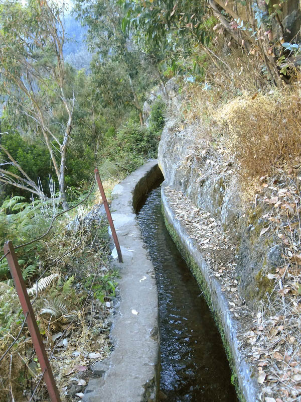 23 July 2013 Levada do Curral e Castelejo — From Lombo dos Tres Paus to Casa Perreira — photo 5