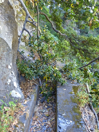 23 July 2013 Levada do Curral e Castelejo — From the Faja basin to the crux — photo 19