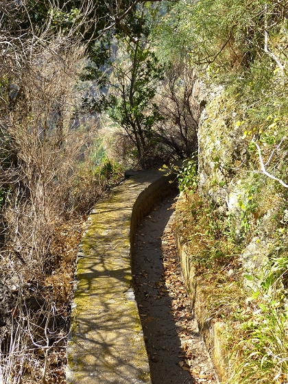 23 July 2013 Levada do Curral e Castelejo — From the Faja basin to the crux — photo 21