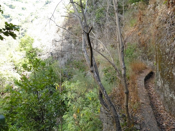 23 July 2013 Levada do Curral e Castelejo — From the Faja basin to the crux — photo 23