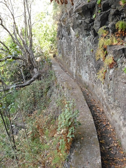 23 July 2013 Levada do Curral e Castelejo — From the Faja basin to the crux — photo 24