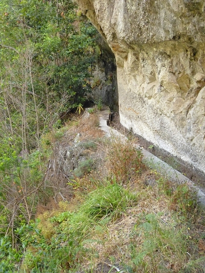 23 July 2013 Levada do Curral e Castelejo — From the Faja basin to the crux — photo 26