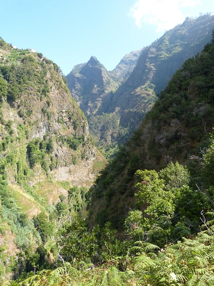 23 July 2013 Levada do Curral e Castelejo — From the Faja basin to the crux — photo 28